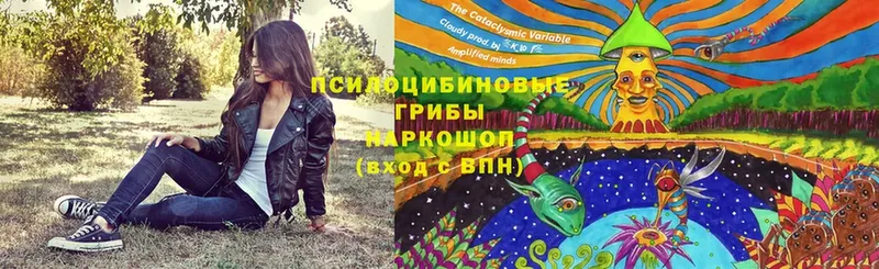 Галлюциногенные грибы мицелий  Кузнецк 